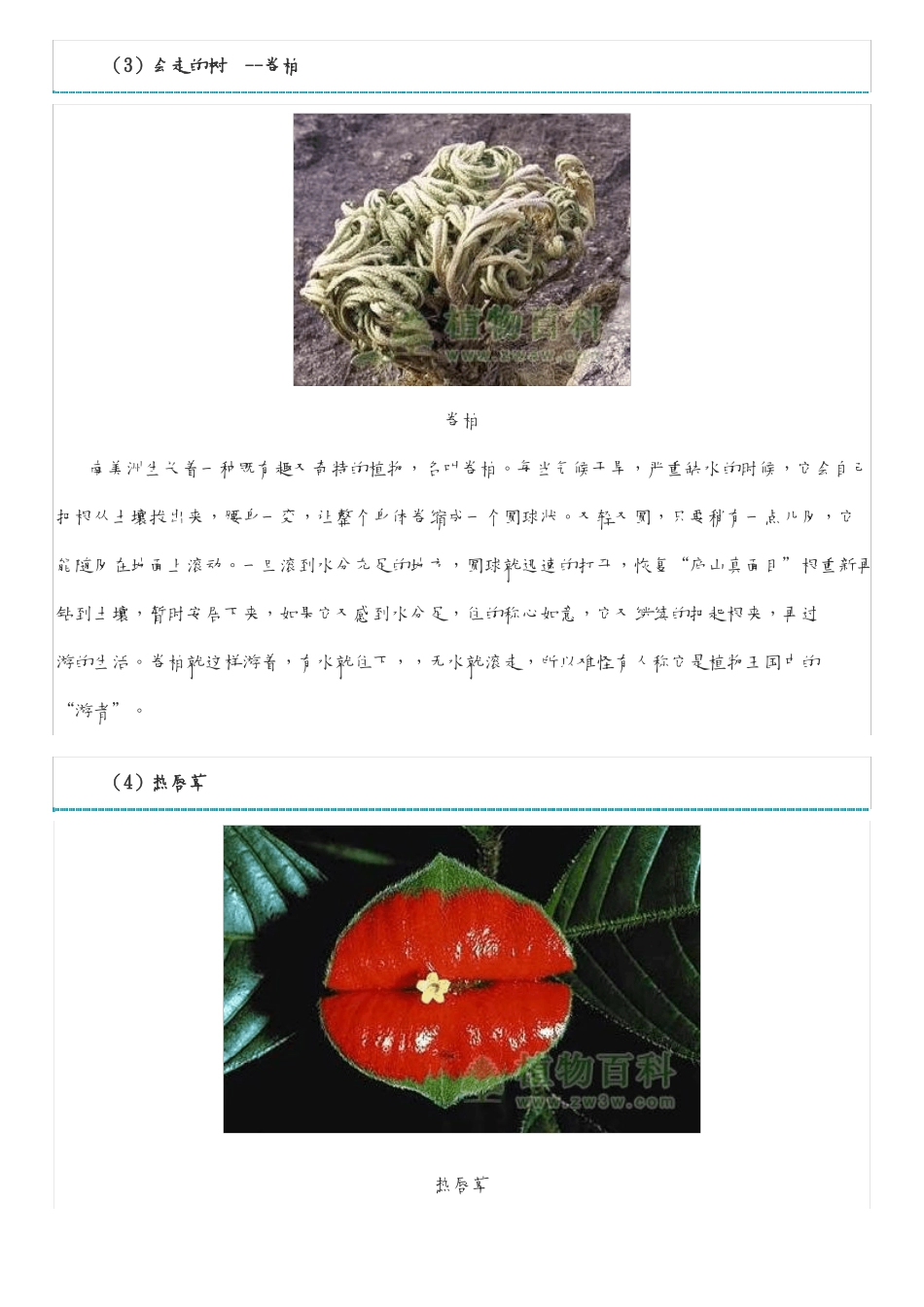 世界上最有趣的植物材料_第3页