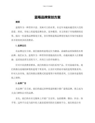 蓝莓品牌策划方案