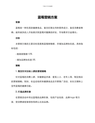 蓝莓营销方案
