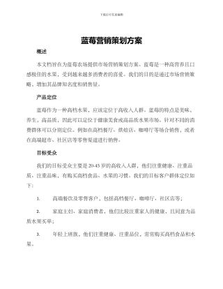 蓝莓营销策划方案