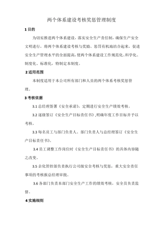 两个体系建设考核奖惩管理制度