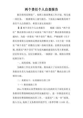 两个责任个人自查报告