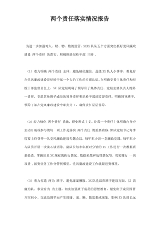 两个责任落实情况报告