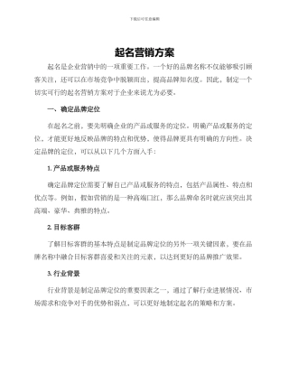 起名营销方案