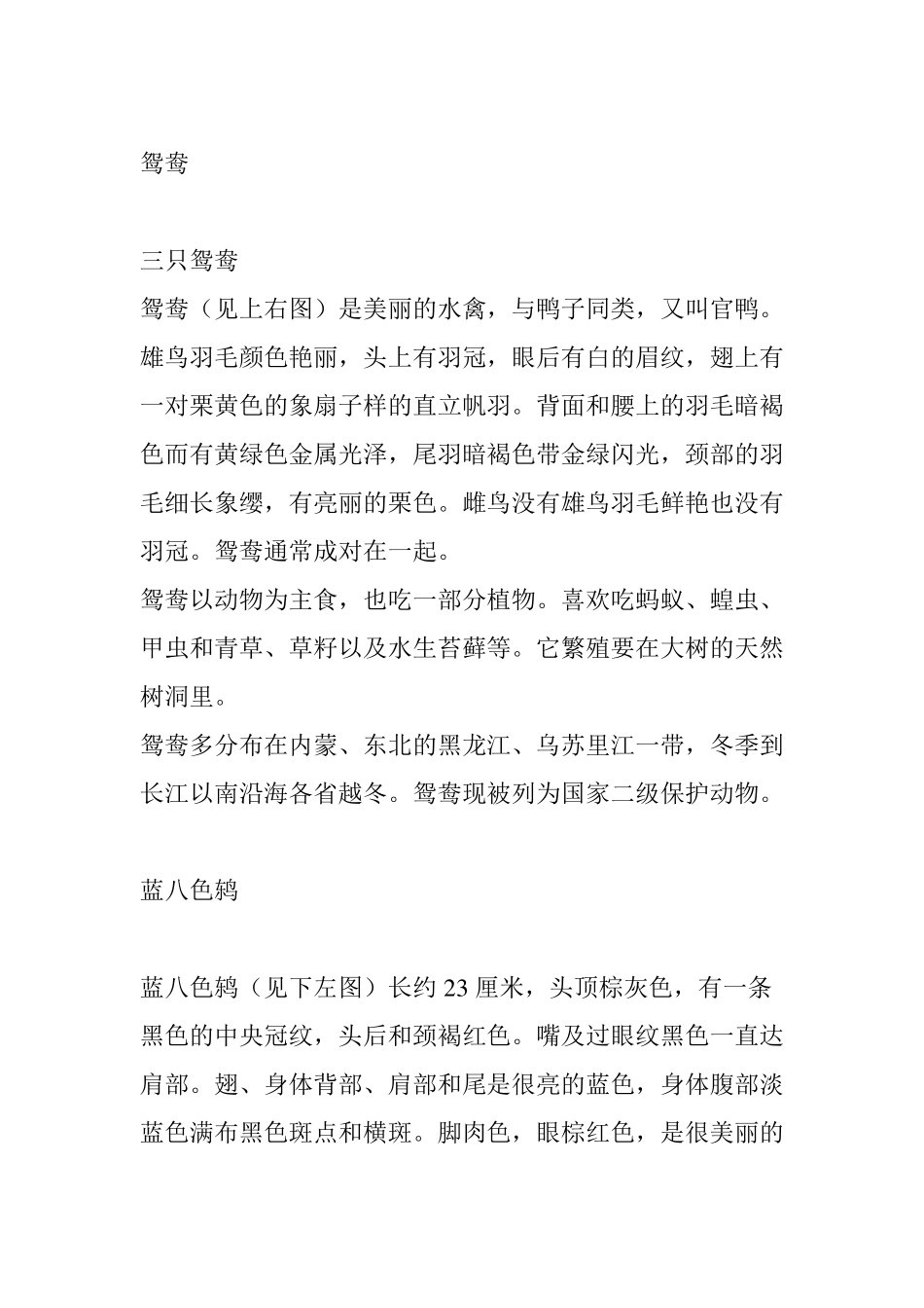 中国珍稀鸟类介绍_第3页