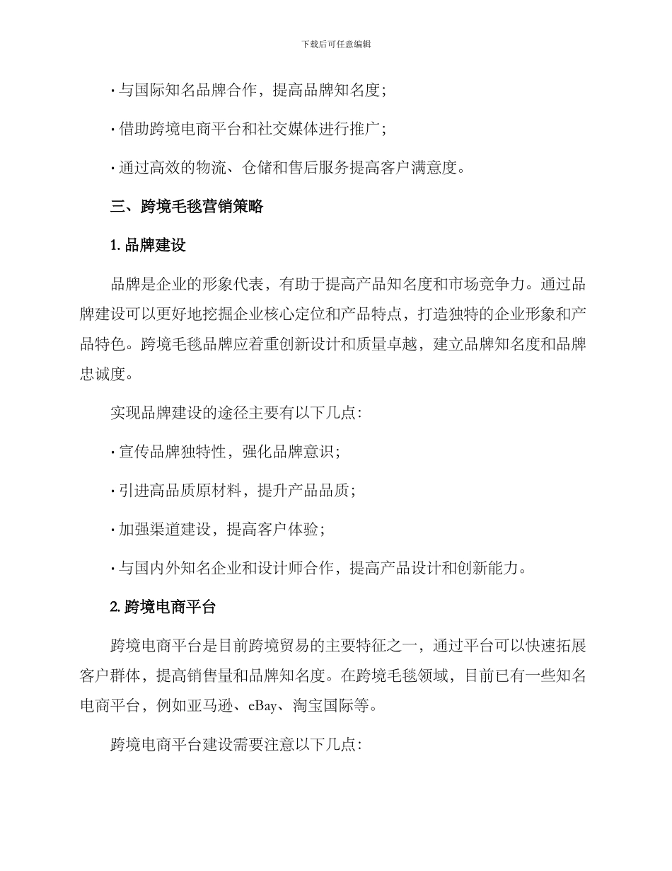 跨境毛毯营销方案_第2页