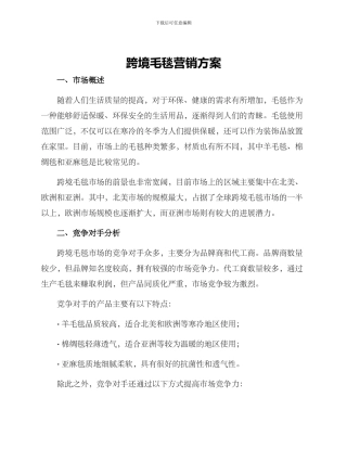 跨境毛毯营销方案
