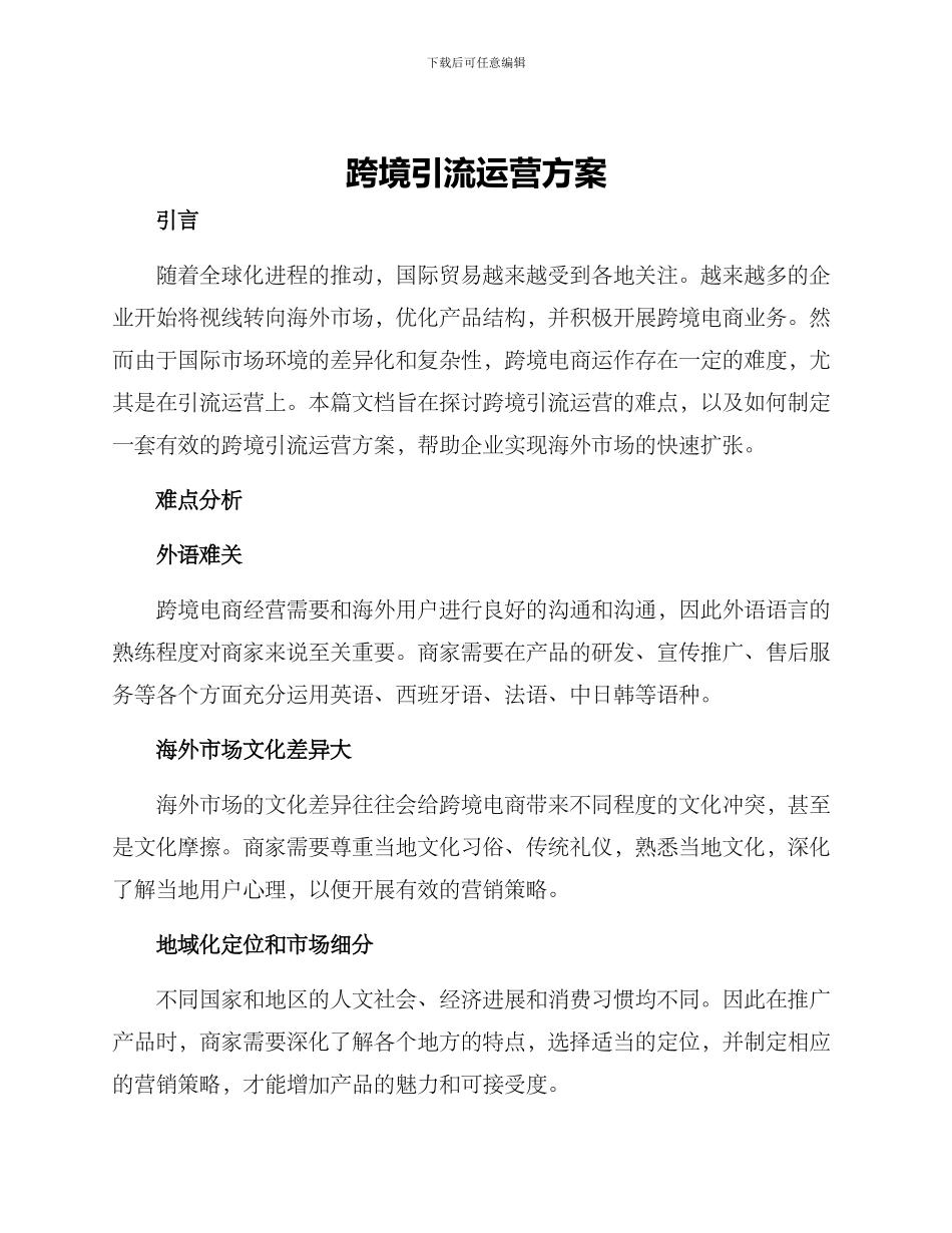 跨境引流运营方案_第1页