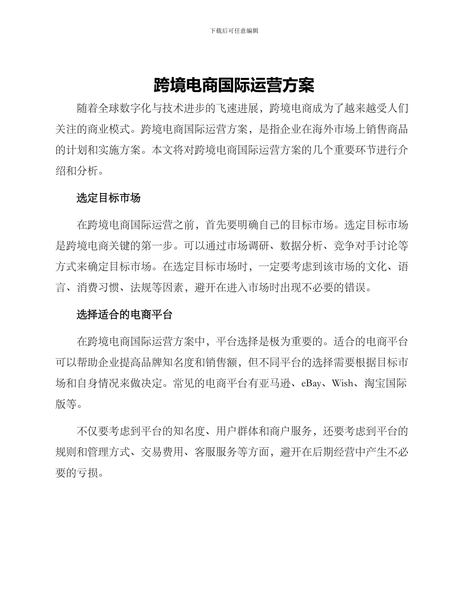 跨境电商国际运营方案_第1页