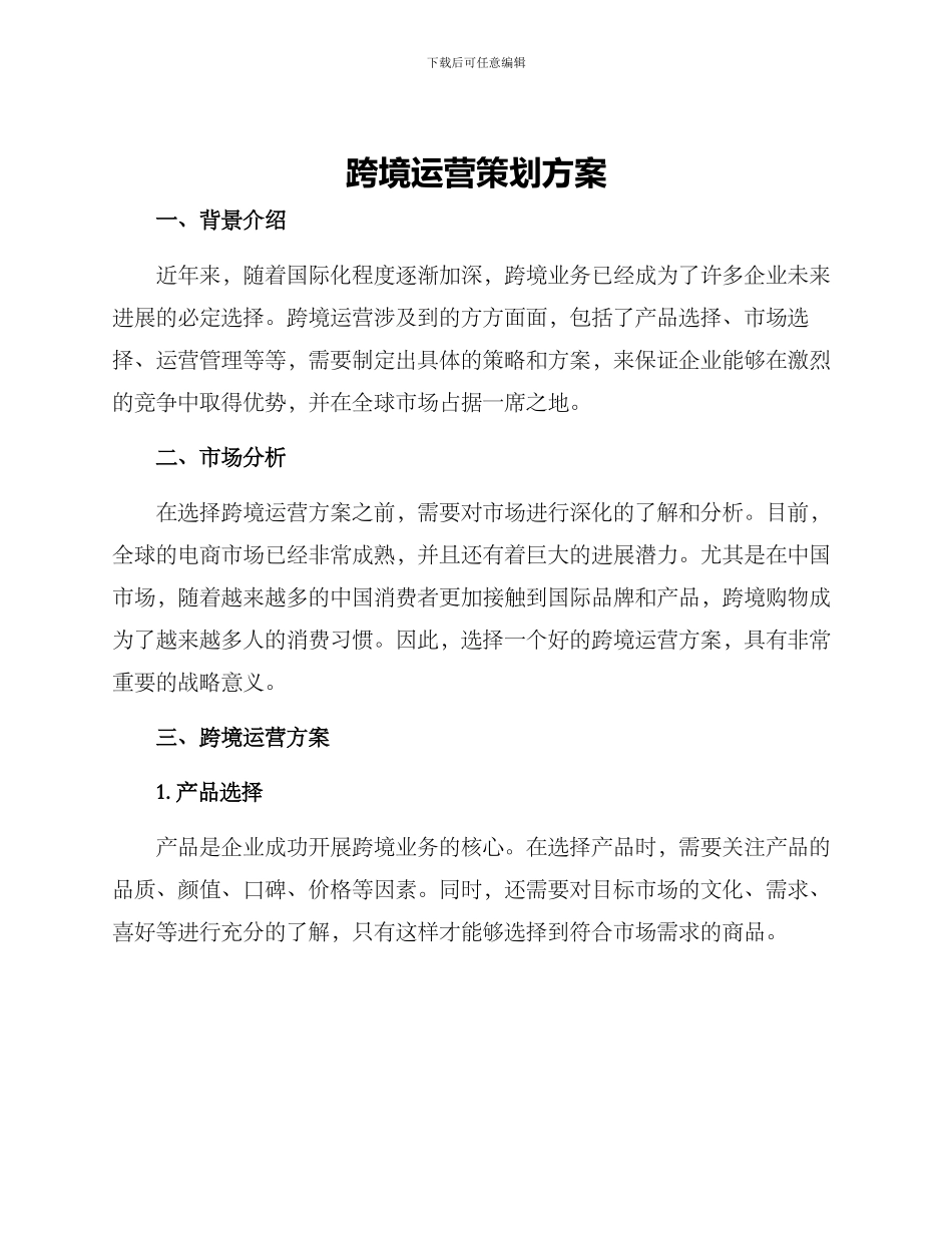 跨境运营策划方案_第1页