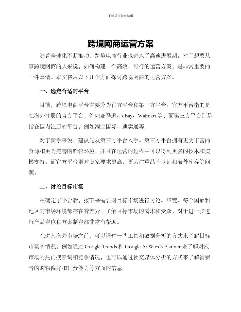 跨境网商运营方案_第1页