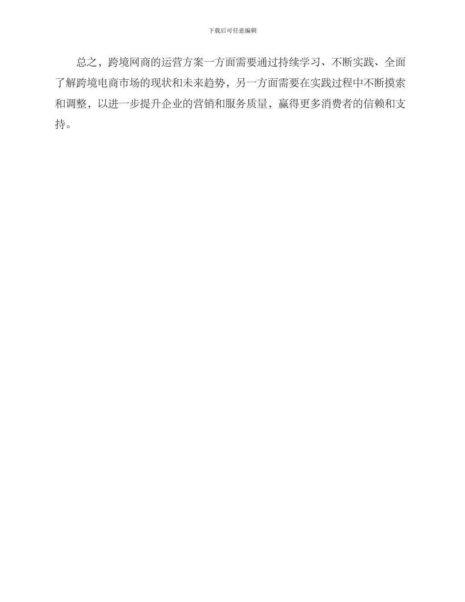 跨境网商运营方案_第3页