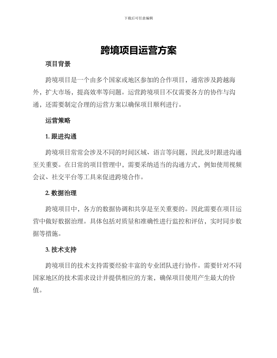 跨境项目运营方案_第1页
