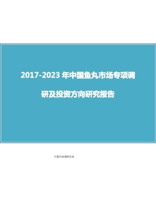 中国鱼丸场调研报告