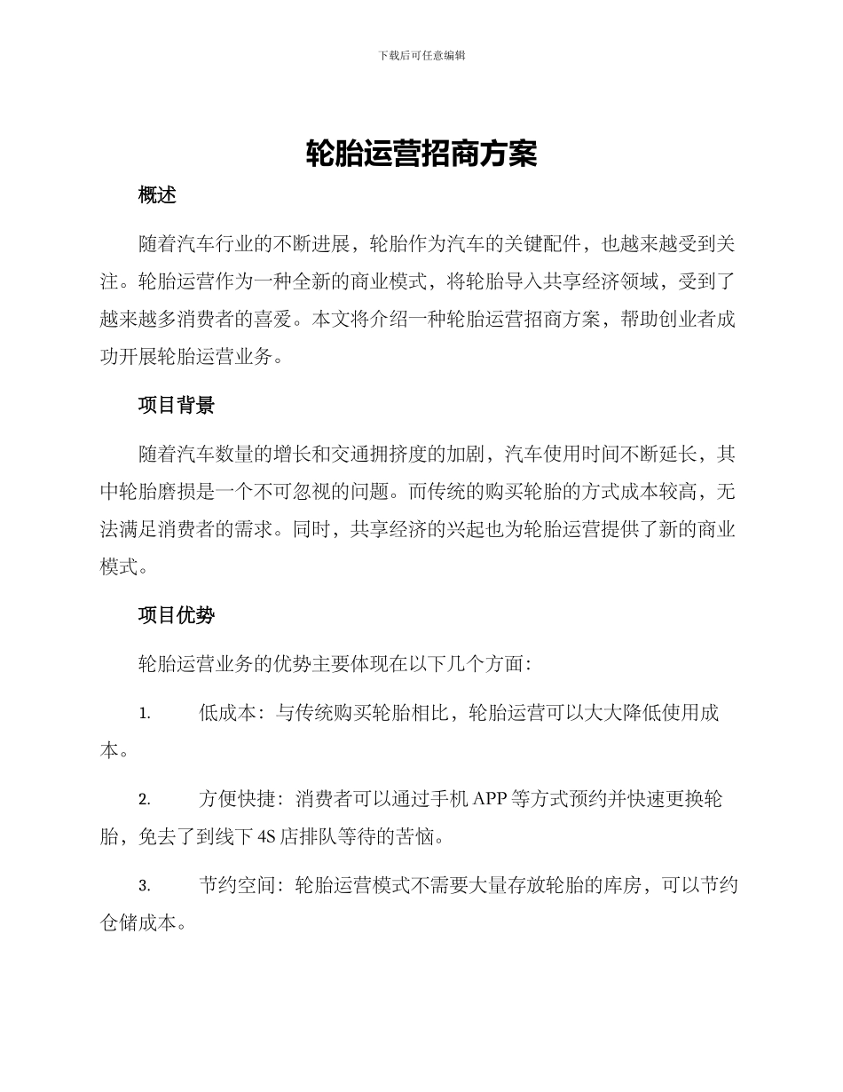 轮胎运营招商方案_第1页