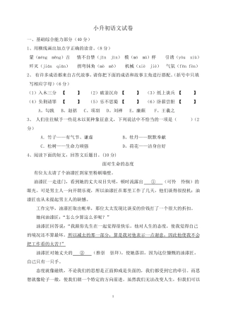 中学小升初分班考试语文试卷
