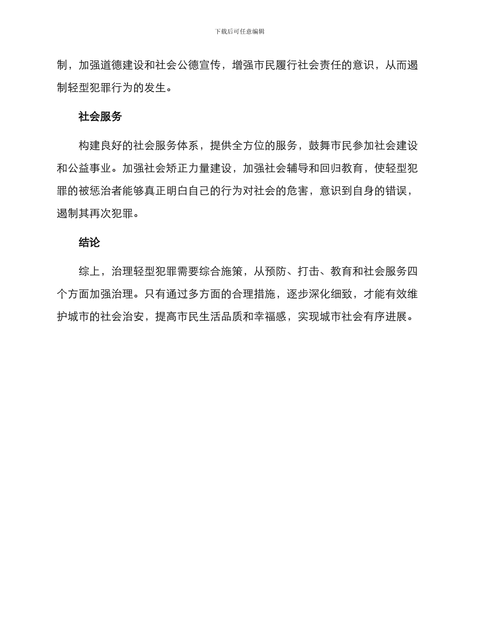 轻型犯罪治理方案_第2页