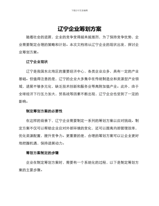 辽宁企业筹划方案