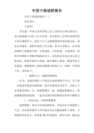 中层干部述职报告