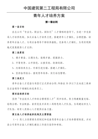 中建二局青年人才培养方法