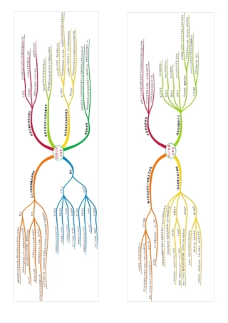 中级经济师思维导图