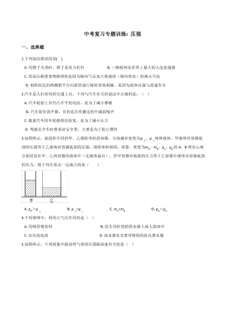 中考复习专题训练压强