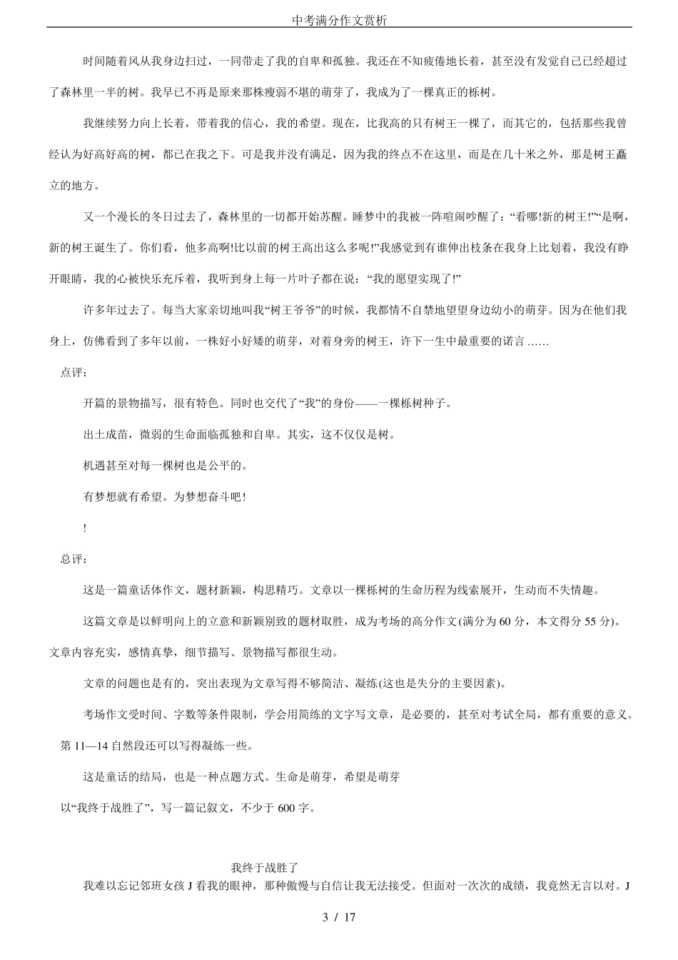 中考满分作文赏析_第3页