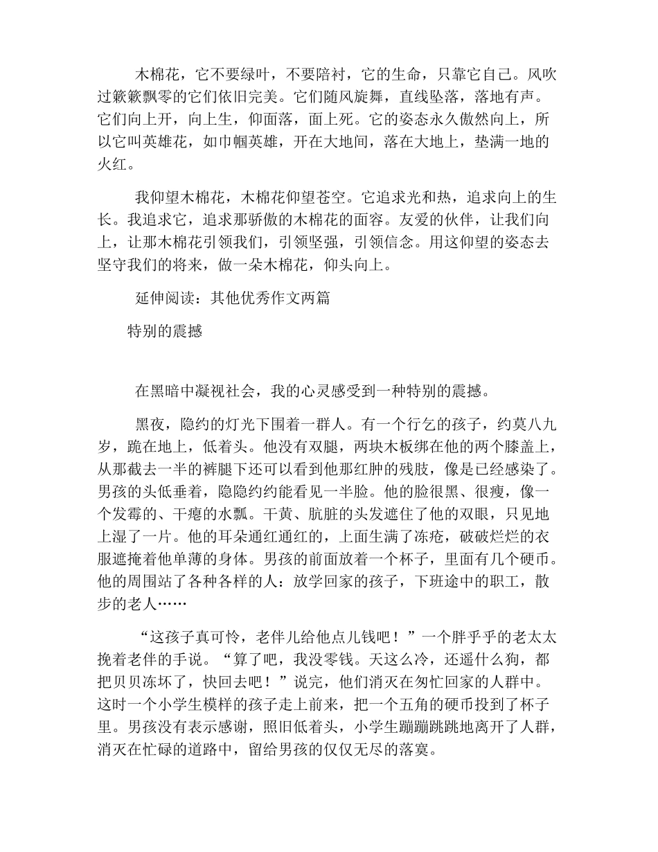 中考满分作文范文：特别的姿态_第2页
