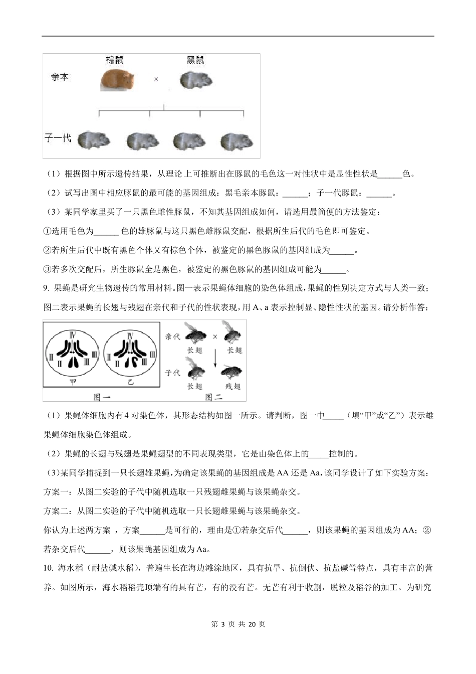 中考生物挑战压轴题-专题10生物的遗传和变异_第3页