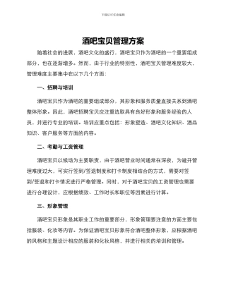 酒吧宝贝管理方案