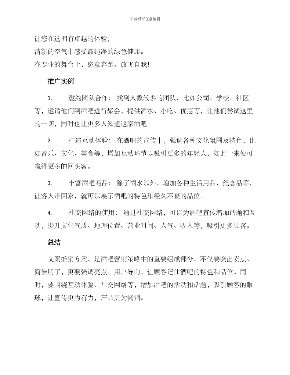 酒吧文案推销方案_第3页