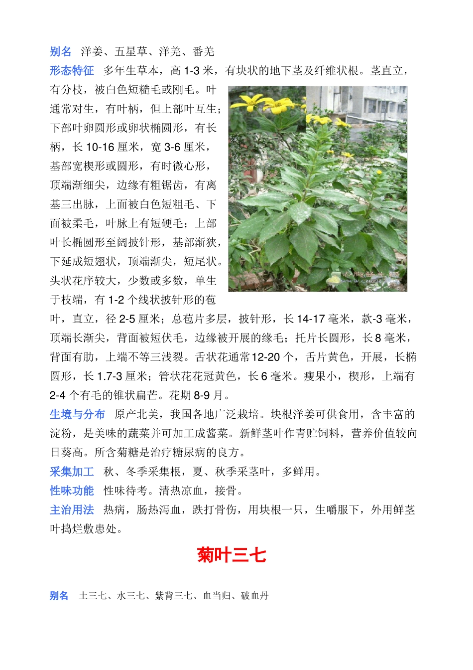 中草药彩色图片大全_第2页