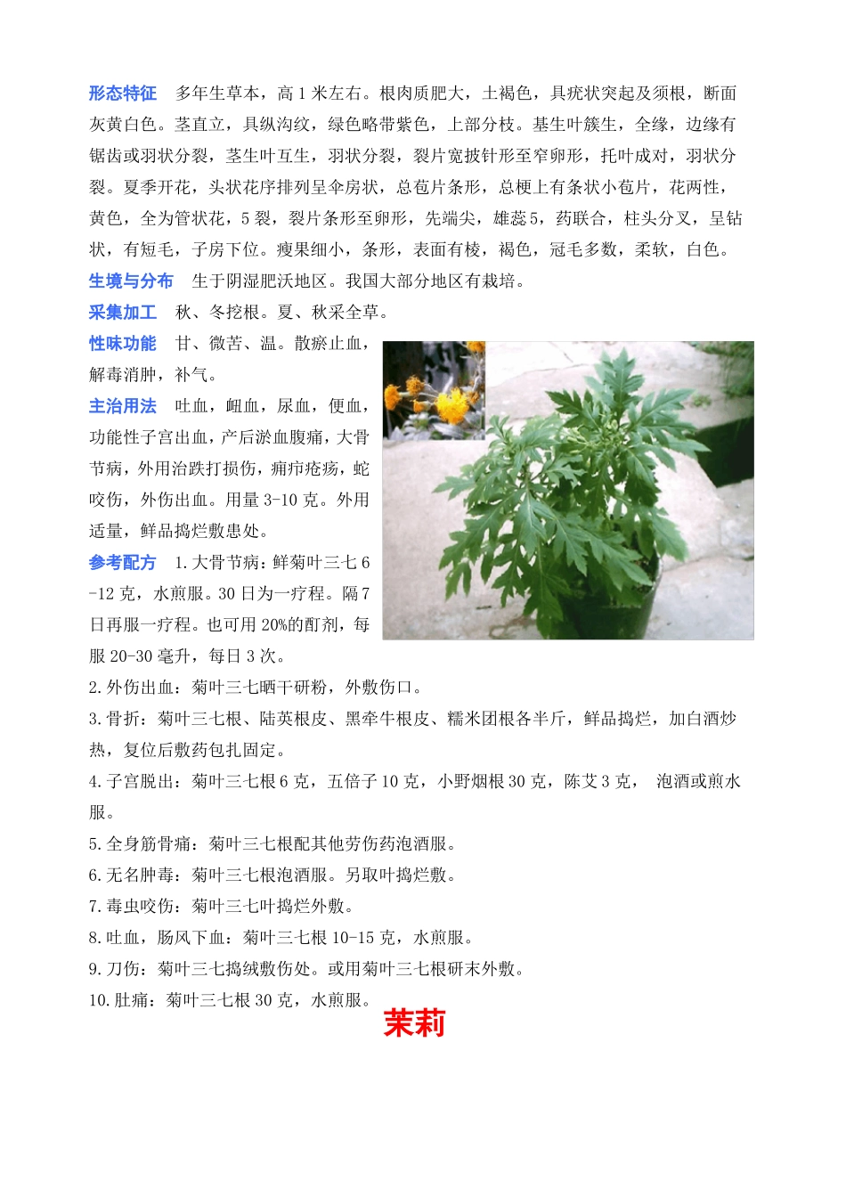 中草药彩色图片大全_第3页