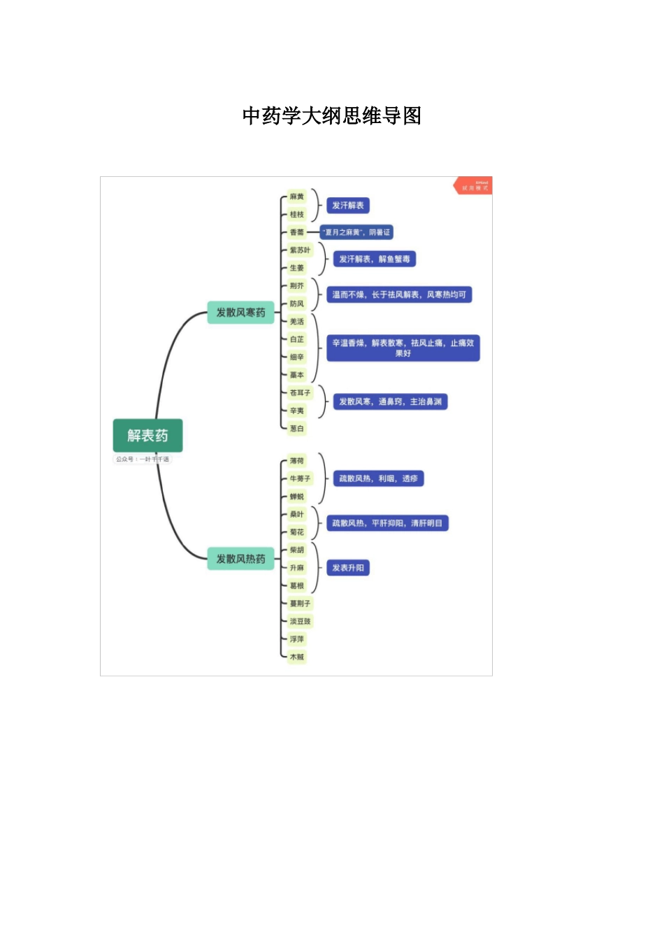 中药学大纲思维导图_第1页