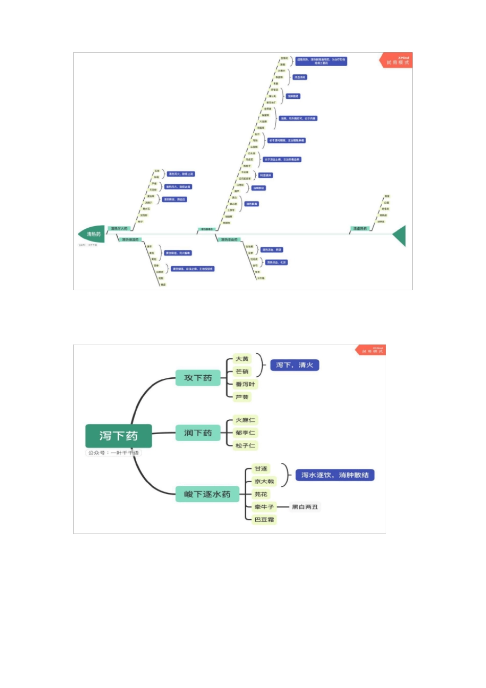 中药学大纲思维导图_第2页