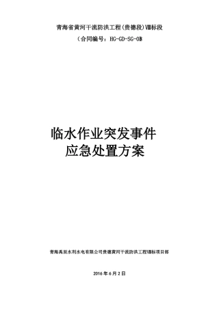 临水作业突发事件应急处置方案最终版