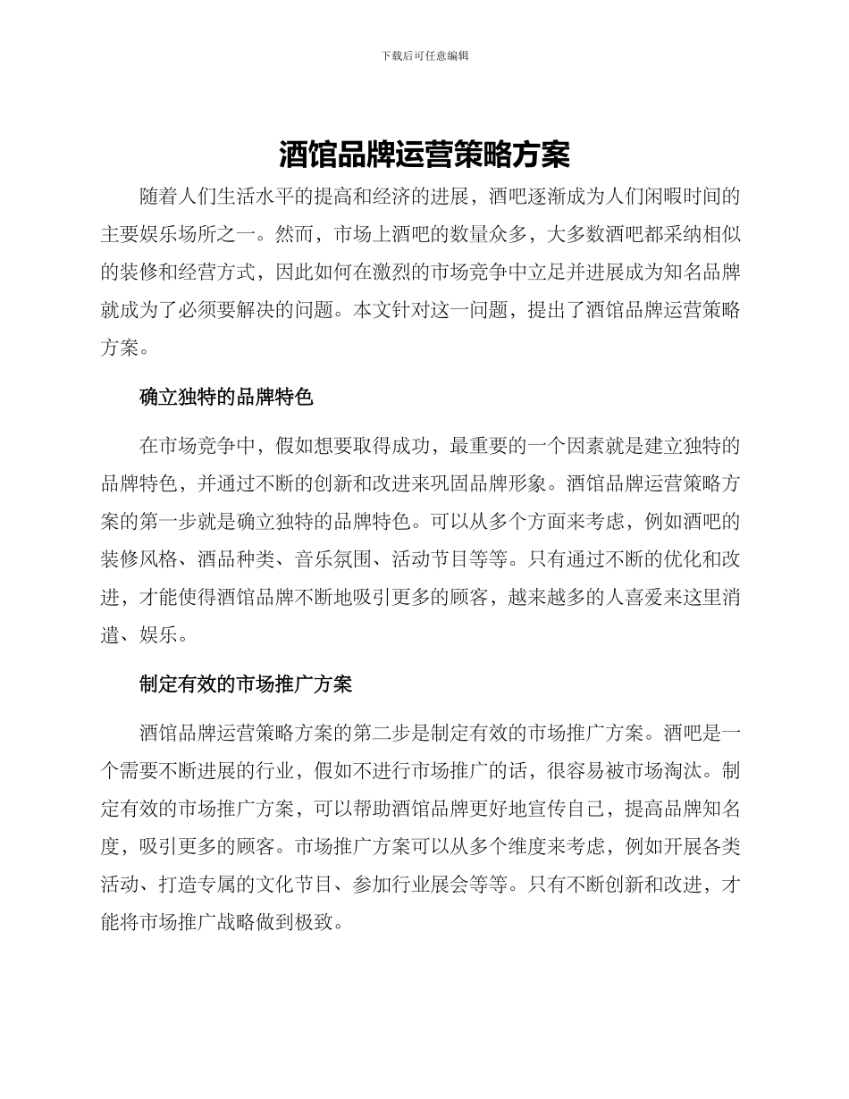 酒馆品牌运营策略方案_第1页