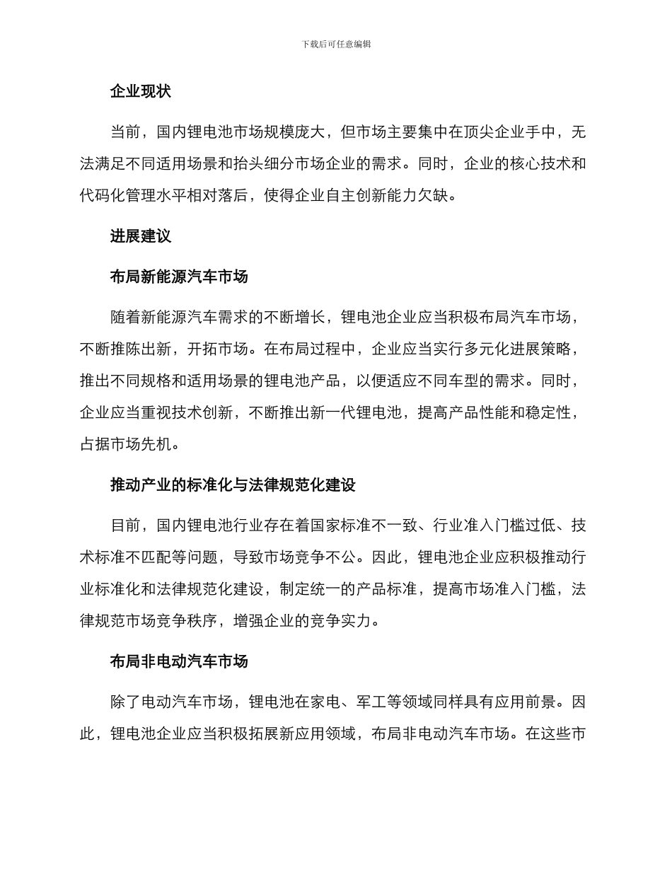 锂电池企业发展方案_第2页