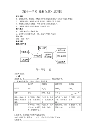 九年级化学下册第十一单元--盐化肥--复习教案