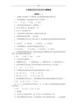 九年级化学式与化合价习题精选