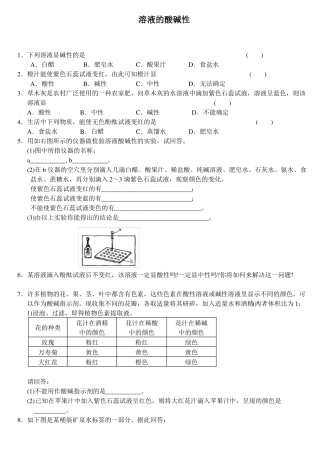 九年级化学溶液的酸碱性专题练习