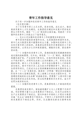 青年工作指导意见