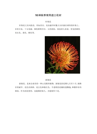 16种秋季常用进口花材