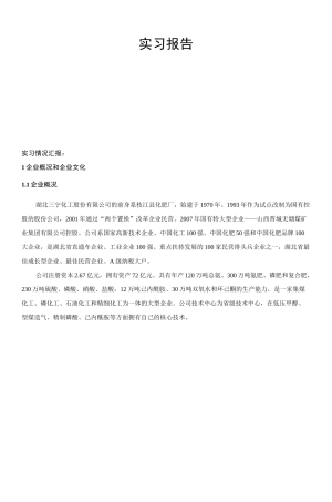三宁化工实习报告