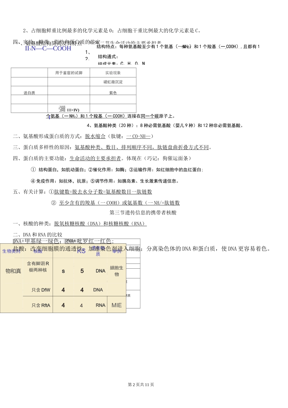 人教版 高中生物 必修一 核心知识 归纳整理(大全)_第2页