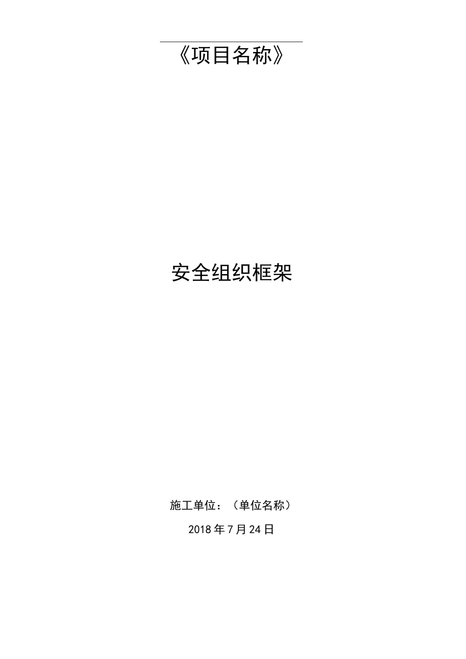 安全组织框架_第1页