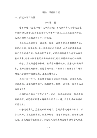 习作：写观察日记