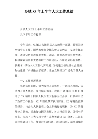 乡镇XX年上半年人大工作总结