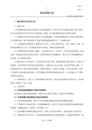 事故现场处置方案