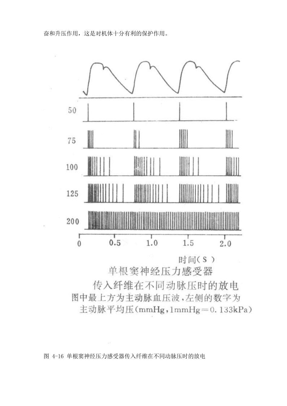 二十八、颈动脉窦与主动脉弓压力感受性反射_第2页